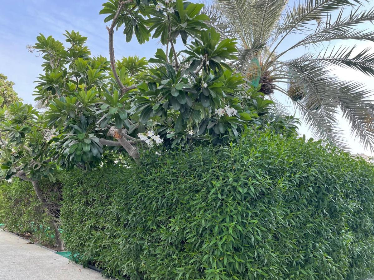 Al Corniche * Sharjah